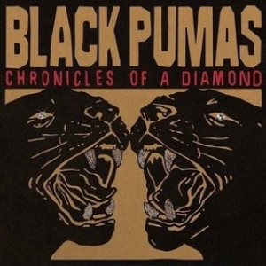 Black Pumas | Chronicles Of A Diamond 