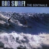 Sentinals | Big Surf 