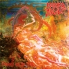 Morbid Angel | Blessed Are The Sick