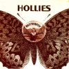 Hollies | Butterfly 