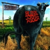 Blink 182 | Dude Ranch 