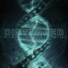 Disturbed | Evolution 