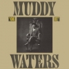 Waters Muddy | King Bee 