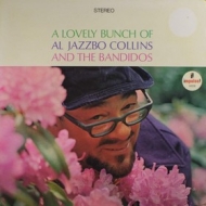 Jazzbo Al Collins | A Lovely Bunch Of 