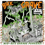 AA.VV. Back From The Grave| Back From The Grave Volume 03
