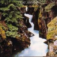 Stevens Cat | Back to Earth