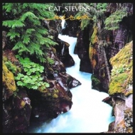 Stevens Cat | Back To Earth 