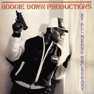 Boogie Down Productions| By All Means Necessary 