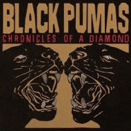 Black Pumas | Chronicles Of A Diamond 