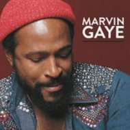 Gaye Marvin | Collected 