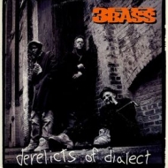 3RD Bass| Derelicts of dialect