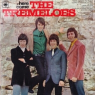 Tremeloes | Here Come 