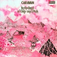 Caravan| In The Land of Grey and Pink