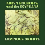 Hitchcock Robyn | Luminous Groove