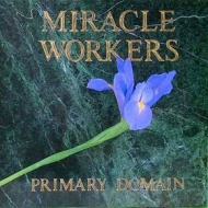 Miracle Workers| Primary Domain