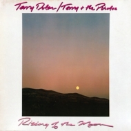 Terry Dolan / Terry & the Pirates| Rising of the Moon