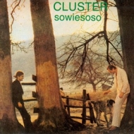 Cluster| Sowiesoso