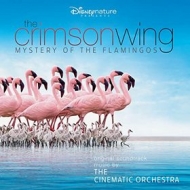 Cinematic Orchestra | The Crimson Wing - Mystery Of The Flamingos 