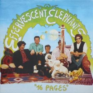 Effervescent Elephants| 16 Pages