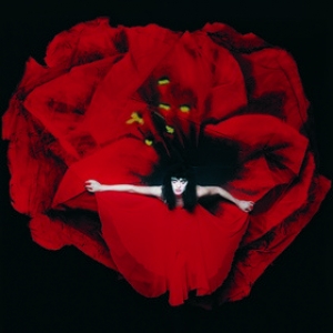 Smashing Pumpkins | Adore 