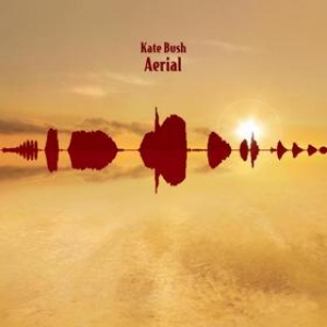 Bush Kate | Aerial 