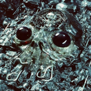 King Gizzard | Alien Metal 