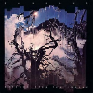 Bauhaus | Burning From The Inside 