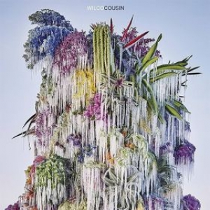 Wilco | Cousin 