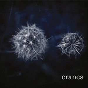 Cranes | Cranes 