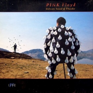 Pink Floyd | Delicate Sound Of Thunder (PF Live)