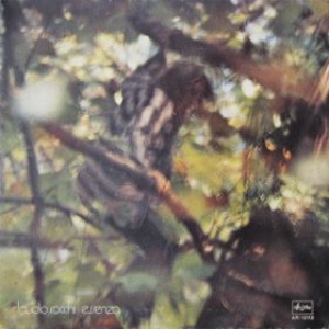 Rocchi Claudio| Essenza
