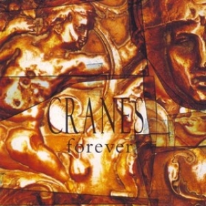 Cranes | Forever 