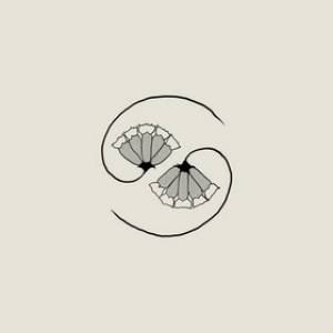 Godspeed You! Black Emperor | G_D's pee At State's End 