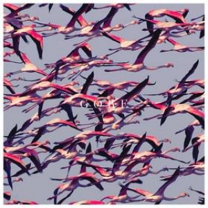 Deftones | Gore 