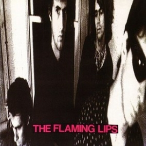Flaming Lips | In A Priest Driven Ambulance                                