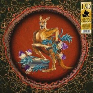 Cardiacs | LSD
