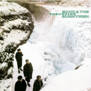 Echo & The Bunnymen | Porcupine 