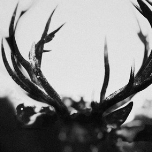 Ihsahn | Same 