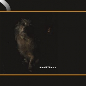 Lambchop | Showtunes 