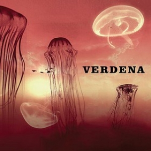 Verdena | Solo Un Grande Sasso 