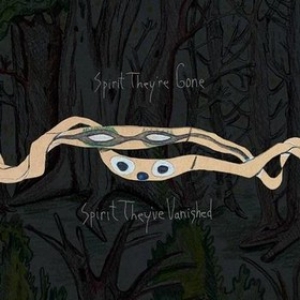 Animal Collective | Spirit They're Gone Spirit They're Vanished 