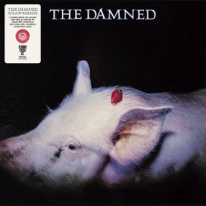 Damned | Strawberries 