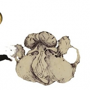 Coil | The Ape Of Naples 