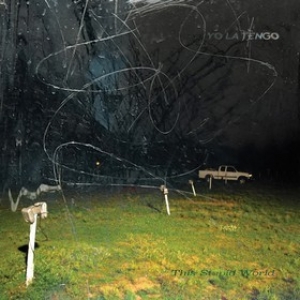Yo La Tengo | This Stupid World 