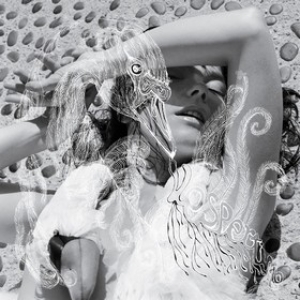Bjork                  | Vespertine                                             