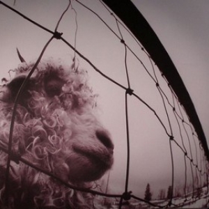 Pearl Jam | Vs - 30Th Anniversary