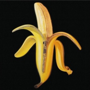 Dandy Warhols | Welcome To The Monkey House 