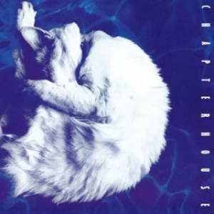 Chapterhouse | Whirlpool 