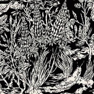 Eternal Tapestry | Wild Strawberries 