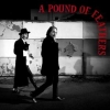 Black Crowes | A Pound Of Feathers 